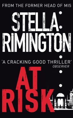 At Risk  9780099461395 Front Cover