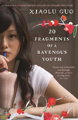 20 Fragments of a Ravenous Youth  9780099512936 Front Cover