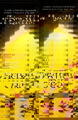 Synguï¿½ Sabour: Pierre de Patience  9780099539544 Front Cover