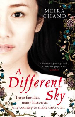 Different Sky  9780099546245 Front Cover