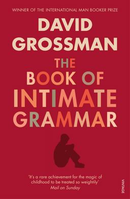 Book of Intimate Grammar  9780099552321 Front Cover
