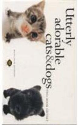 Welfare to Work Welfare to Work