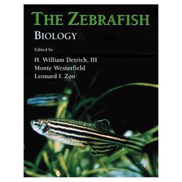 Zebrafish