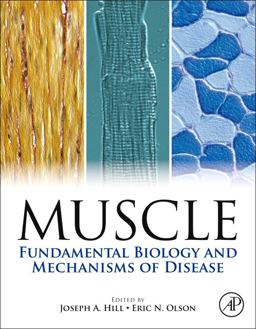 Muscle 2-Volume Set Fundamental Biology and Mechanisms of Disease  9780123815101 Front Cover