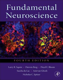 Fundamental Neuroscience 4th 9780123858702 Front Cover