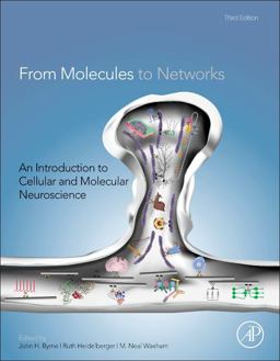From Molecules to Networks An Introduction to Cellular and Molecular Neuroscience 3rd 9780123971791 Front Cover