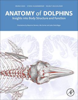 Anatomy of Dolphins Insights into Body Structure and Function  9780124072299 Front Cover