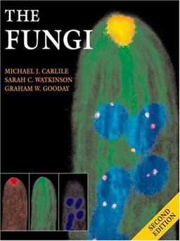 Fungi 2nd 9780127384467 Front Cover