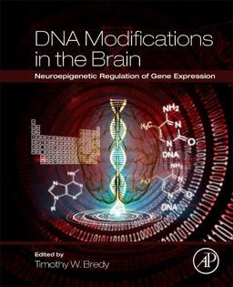 DNA Modifications in the Brain Neuroepigenetic Regulation of Gene Expression  9780128015964 Front Cover