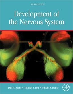 Development of the Nervous System 4th 9780128039960 Front Cover