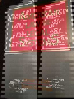 American Law and Legal Systems