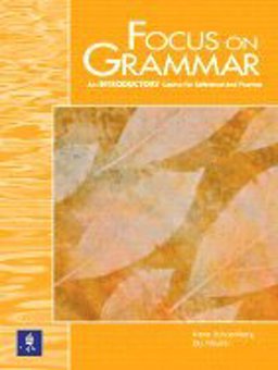 Focus on Grammar