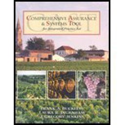 Comprehensive Assurance and Systems Tool Comprehensive Assurance and Systems Tool