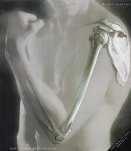 Human Anatomy Human Anatomy