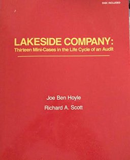 Lakeside Company Audit