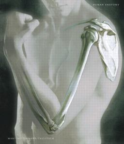 Human Anatomy Human Anatomy