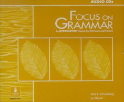 Focus on Grammar