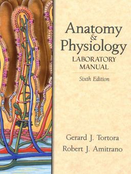 Anatomy and Physiology