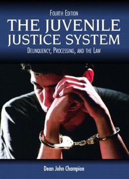 The Juvenile Justice System The Juvenile Justice System