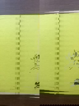 The Caterpillar and the Polliwog