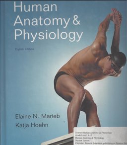 Human Anatomy and Physiology