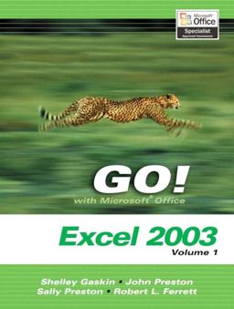 Microsoft Excel 2003