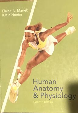 Human Anatomy and Physiology