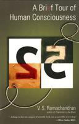 Brief Tour of Human Consciousness From Impostor Poodles to Purple Numbers  9780131872783 Front Cover