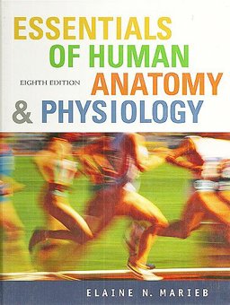 Essentials of Human Anatomy and Physiology