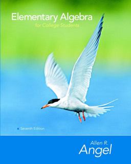 Elementary Algebra for College Students