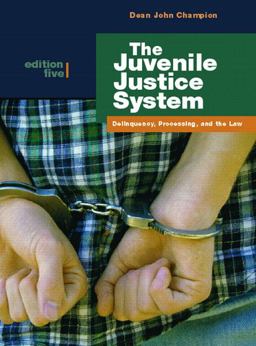 The Juvenile Justice System The Juvenile Justice System