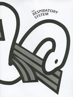 The Respiratory System