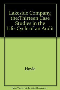 Auditing Lakeside Co.