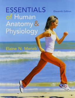 Essentials of Human Anatomy and Physiology and Modified MasteringA&P with Pearson EText -- ValuePack Access Card -- for Essentials of Human Anatomy and Physiology Package Essentials of Human Anatomy and Physiology and Modified MasteringA&P with Pearson EText -- ValuePack Access Card -- for Essentials of Human Anatomy and Physiology Package