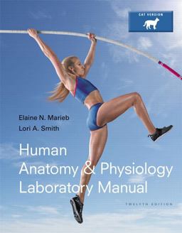 Human Anatomy and Physiology