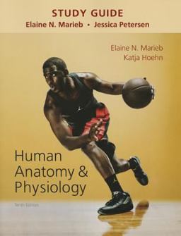 Study Guide for Human Anatomy and Physiology