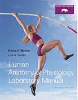 Human Anatomy and Physiology