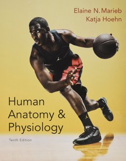 Human Anatomy and Physiology, MasteringA&P with Pearson EText and ValuePack Access Card, Brief Atlas of the Human Body Human Anatomy and Physiology, MasteringA&P with Pearson EText and ValuePack Access Card, Brief Atlas of the Human Body