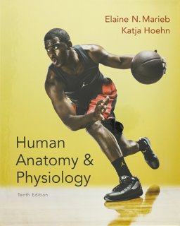 Human Anatomy and Physiology, MasteringA&P with EText and Value Pack Access Card, Human Anatomy and Physiology Laboratory Manual, Cat Version, InterActive Physiology 10-System Suite CD-ROM , Brief Atlas of the Human Body Human Anatomy and Physiology, MasteringA&P with EText and Value Pack Access Card, Human Anatomy and Physiology Laboratory Manual, Cat Version, InterActive Physiology 10-System Suite CD-ROM , Brief Atlas of the Human Body