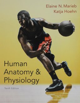 Human Anatomy and Physiology Human Anatomy and Physiology