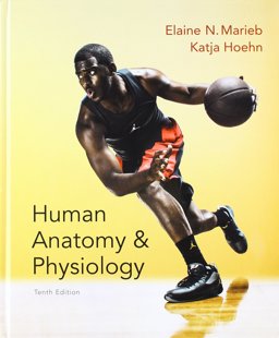 Human Anatomy and Physiology; Modified MasteringA&P with Pearson EText -- ValuePack Access Card; Get Ready for a&P; Brief Atlas of the Human Body Human Anatomy and Physiology; Modified MasteringA&P with Pearson EText -- ValuePack Access Card; Get Ready for a&P; Brief Atlas of the Human Body