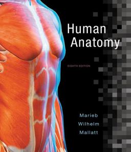 Human Anatomy Human Anatomy