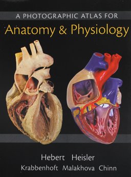 Practice Anatomy Lab 3. 0 Lab Guide; Modified MasteringA&P with Pearson EText -- Standalone Access Card -- for Human Anatomy and Physiology; Photographic Atlas for Anatomy and Physiology, a (ValuePack Only)