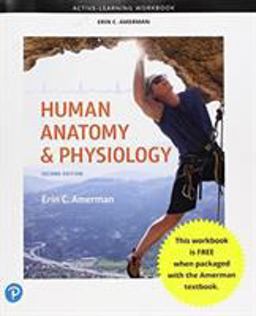 Active-Learning Workbook for Human Anatomy and Physiology 2nd 9780134757506 Front Cover