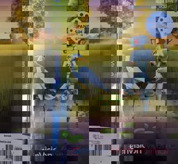 Envision Mathematics 2020 National Student Edition Grade 5 Volume 1  9780134953724 Front Cover