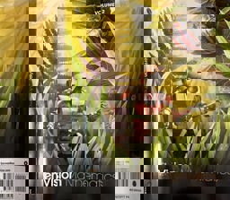 Envision Mathematics 2021 National Student Edition Grade 6 Volume 2