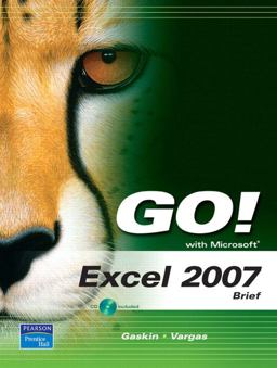 Microsoft Excel 2007, Brief