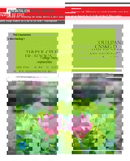 Counseling and Therapy for Couples An Integrative Model  9780135183144 Front Cover