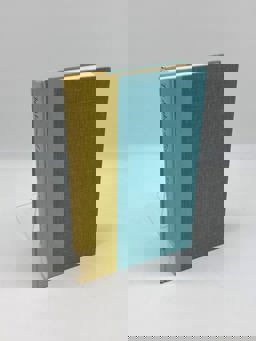 The Making of Economic Society