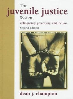 The Juvenile Justice System